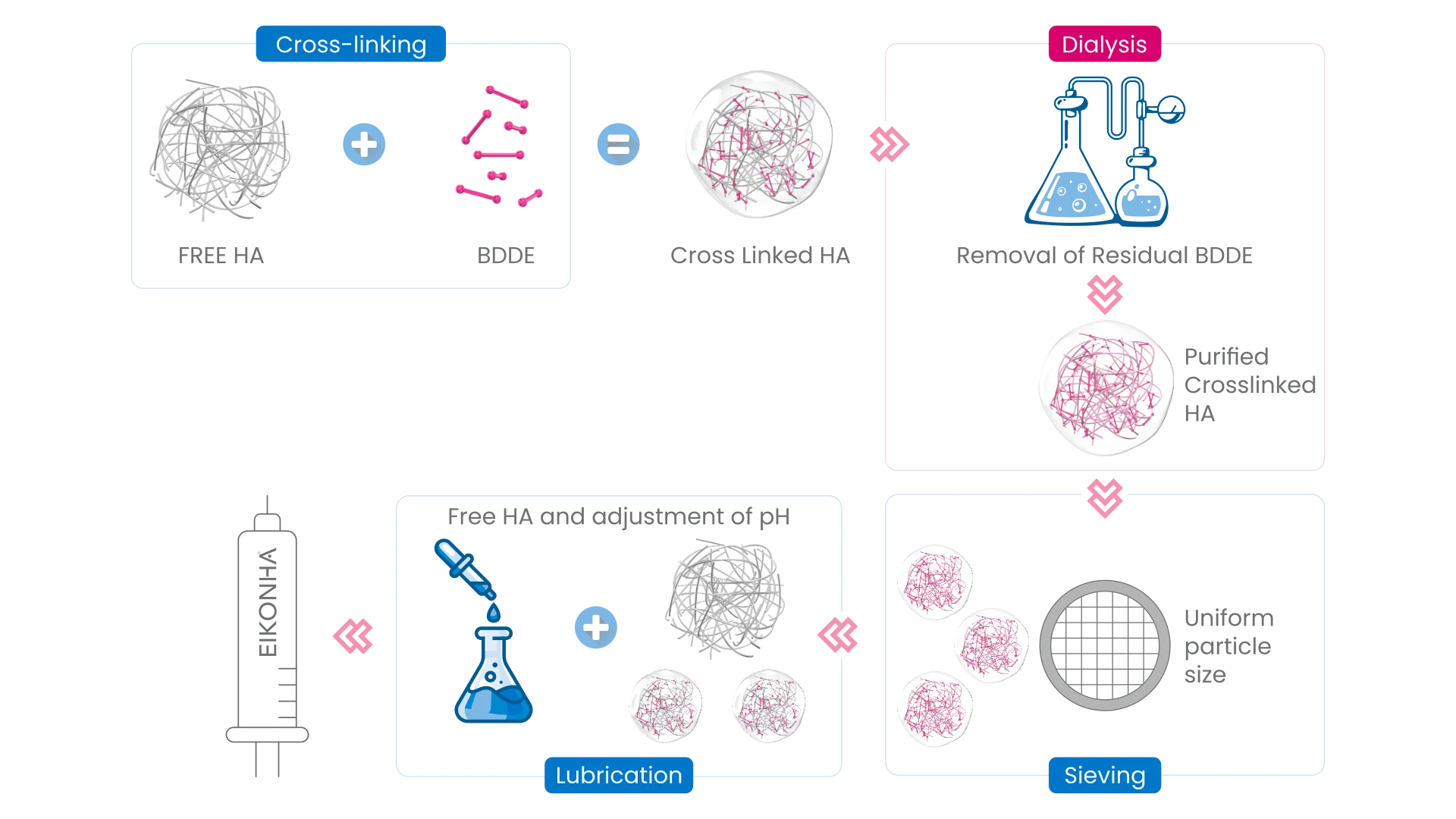 The four-step EIM process. Cross-linking: free hyaluronic acid combined with BDDE produces cross-linked hyaluronic acid. Dialysis: residual BDDE is removed, leaving purified cross-linked hyaluronic acid. Sieving: the gel is calibrated to a uniform particle size. Lubrication: free hyaluronic acid is reintroduced and pH adjusted, before filling into the Eikonha syringe.